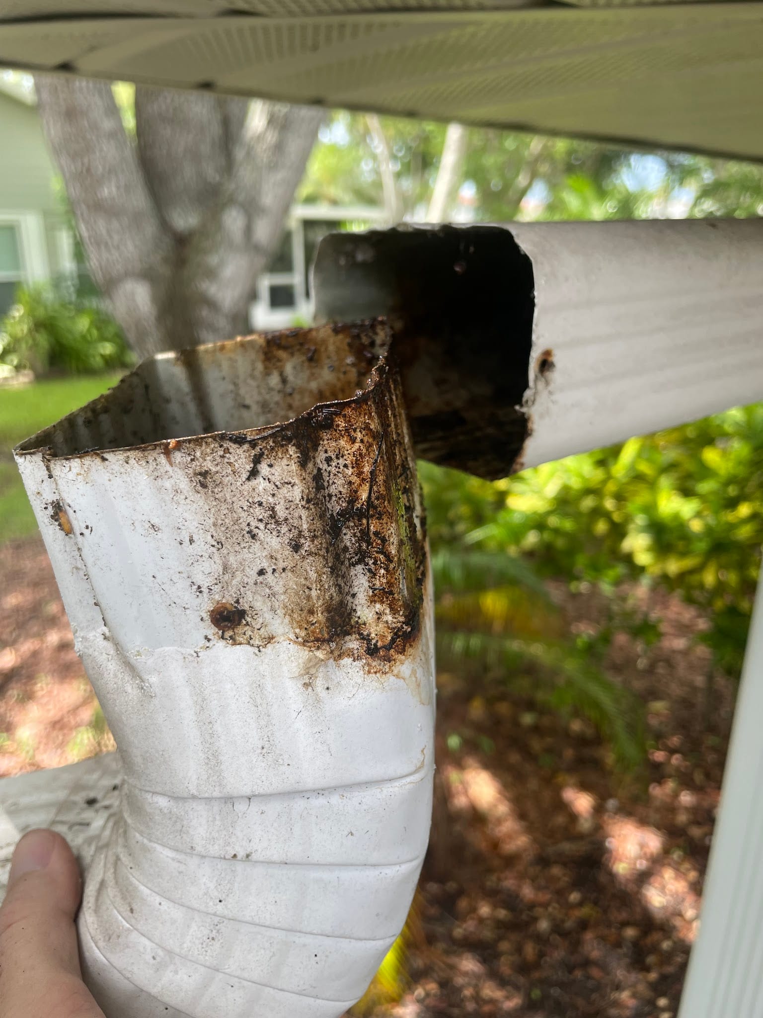 Severely rusted and deteriorating gutter downspout removed from home
