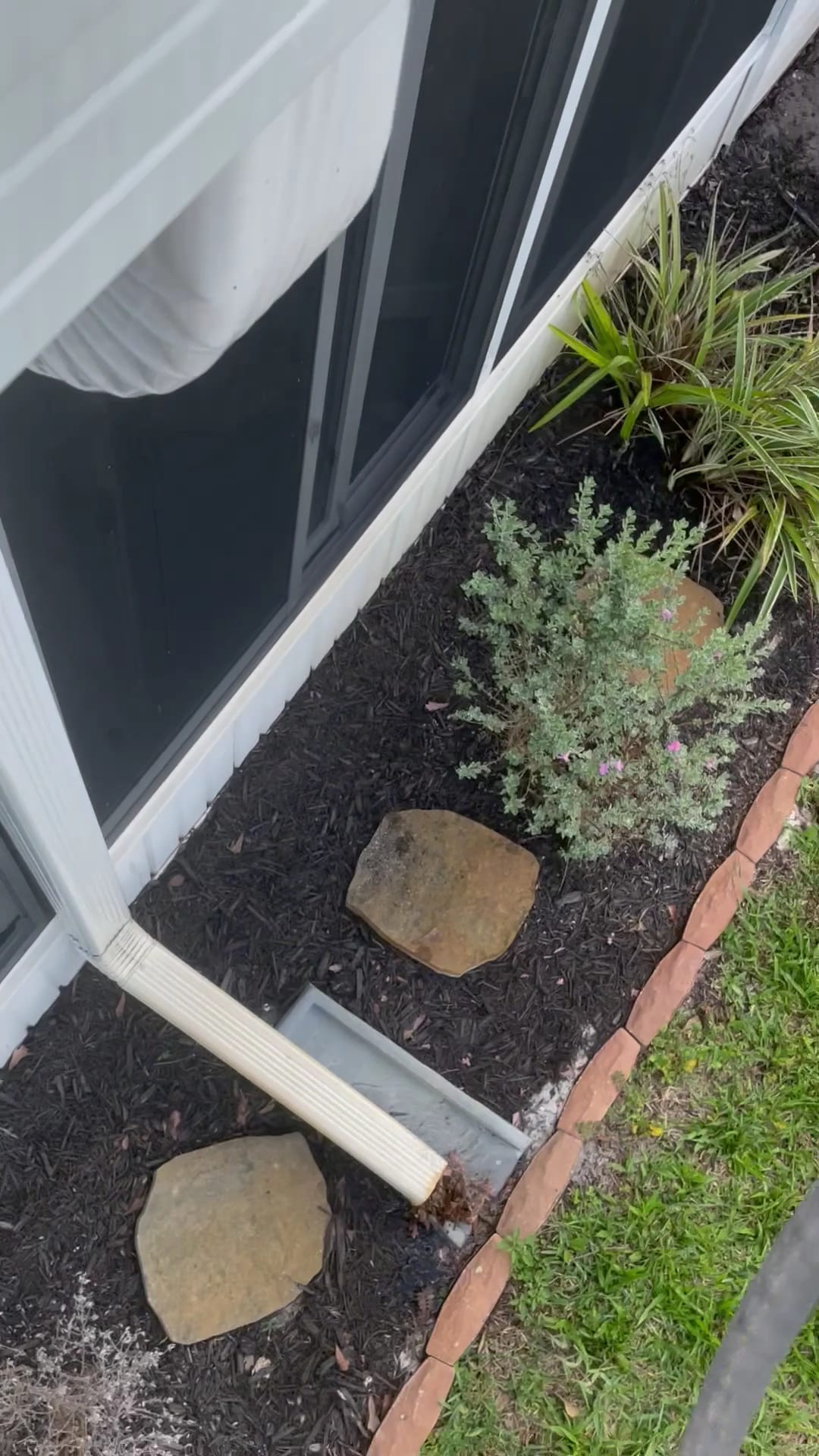 Downspout base near mulched garden bed with stepping stones and shrubs