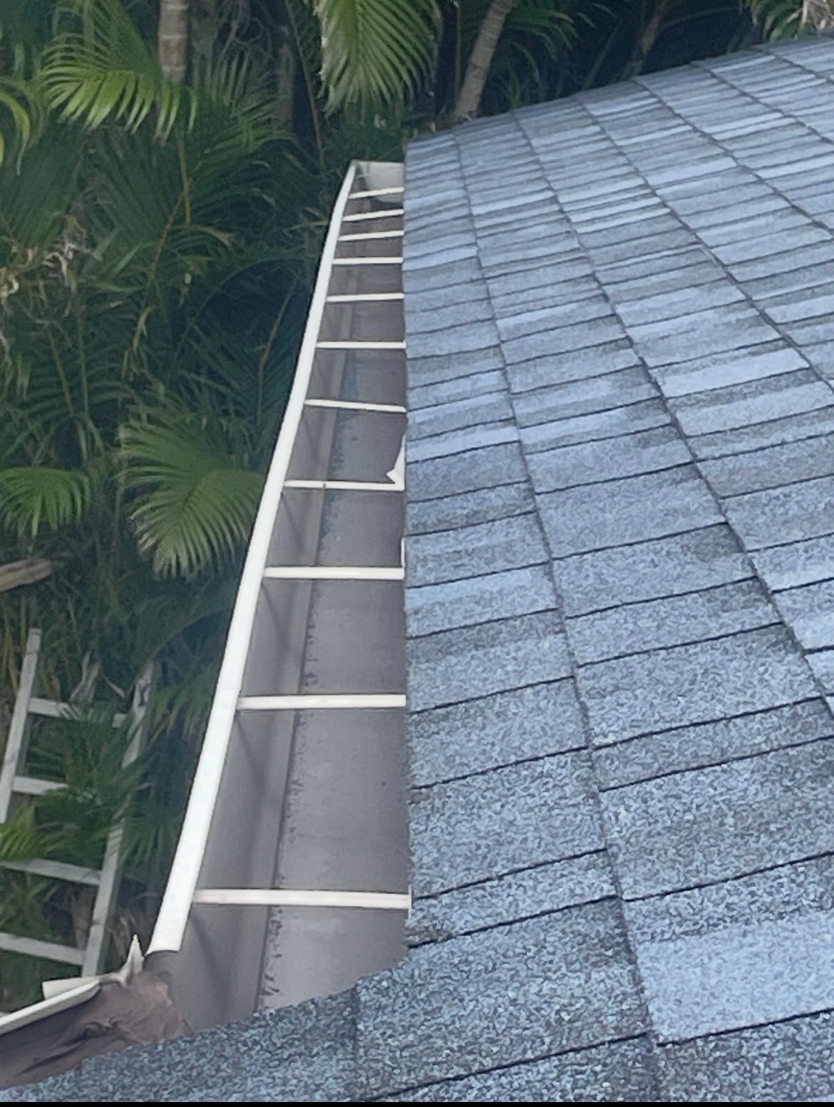 Clean white gutters with guards along gray asphalt shingle roof edge