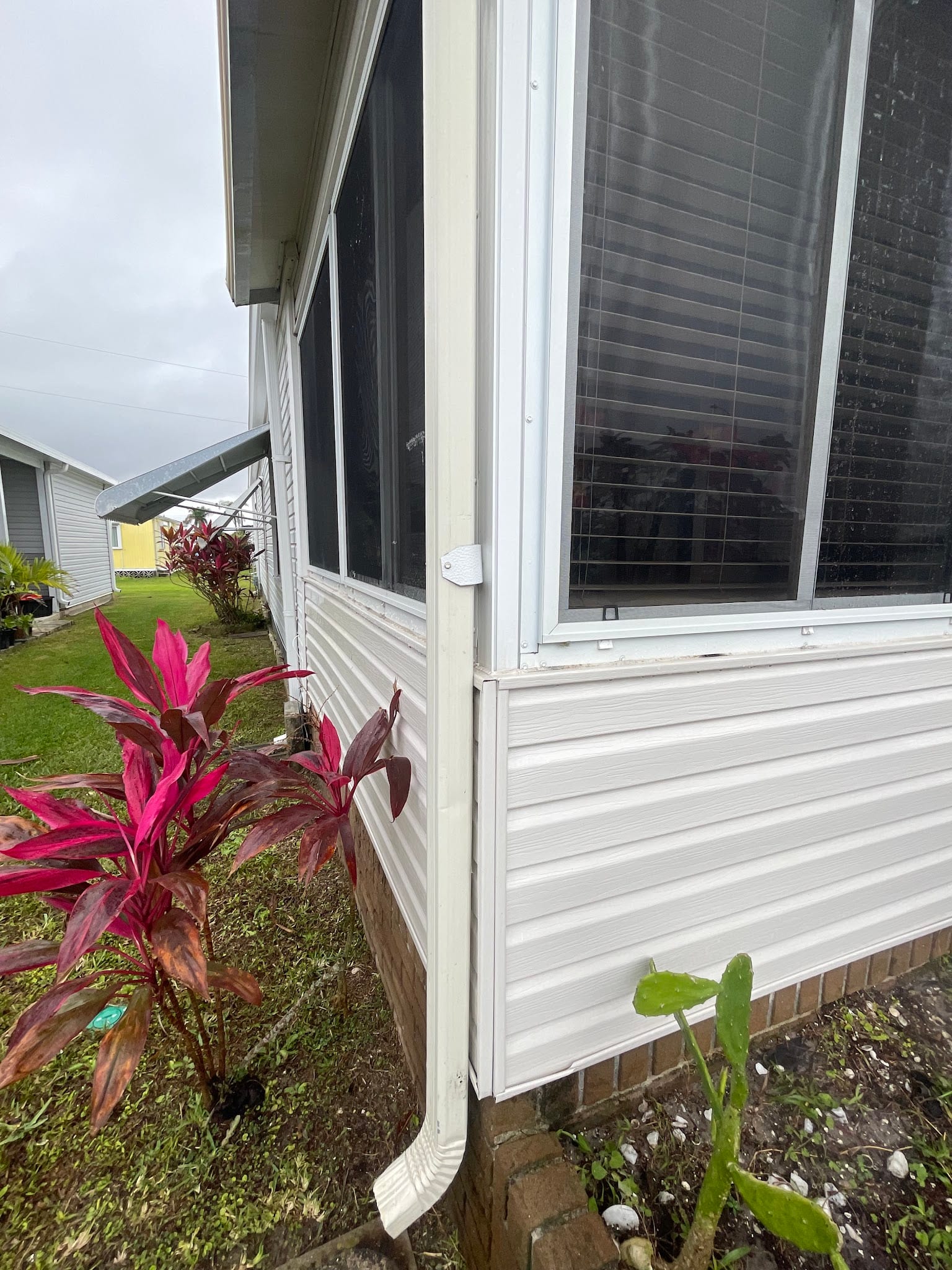 White downspout and screened enclosure exterior with tropical plants nearby