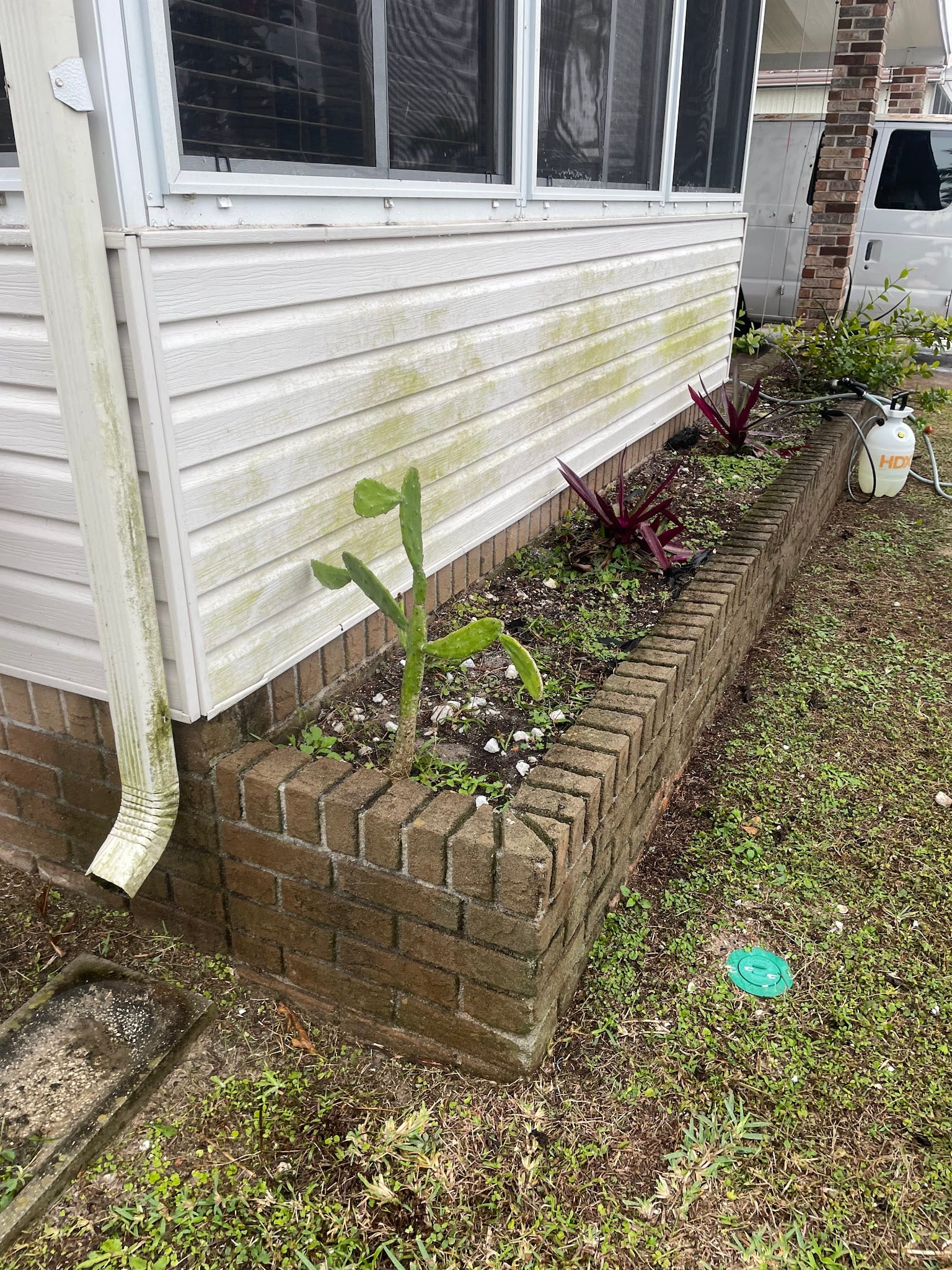 Algae-stained vinyl siding with downspout beside brick flower bed in Port Charlotte