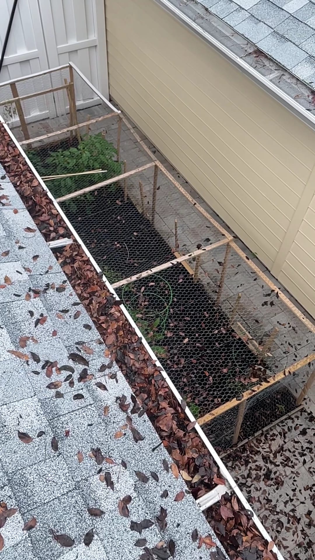 Clogged gutter filled with leaves and debris behind a house