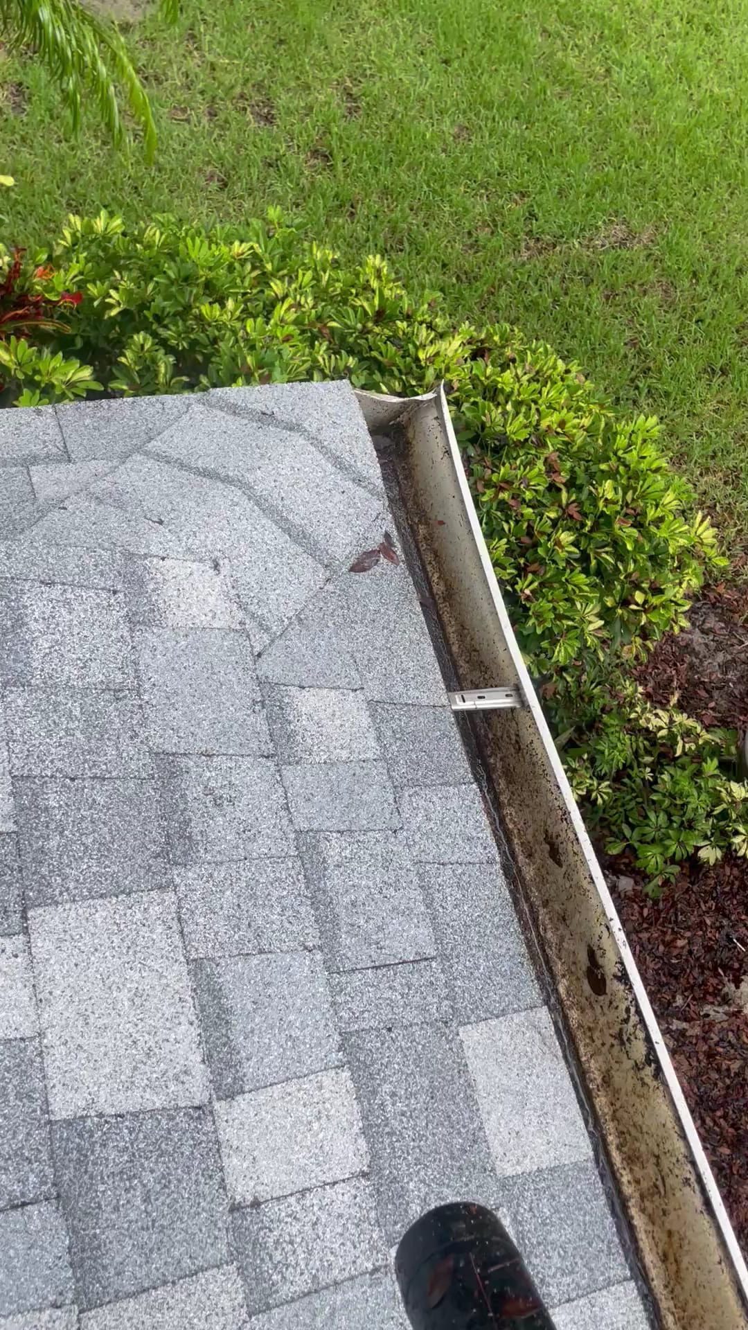Dirty gutter with debris buildup along asphalt shingle roof edge