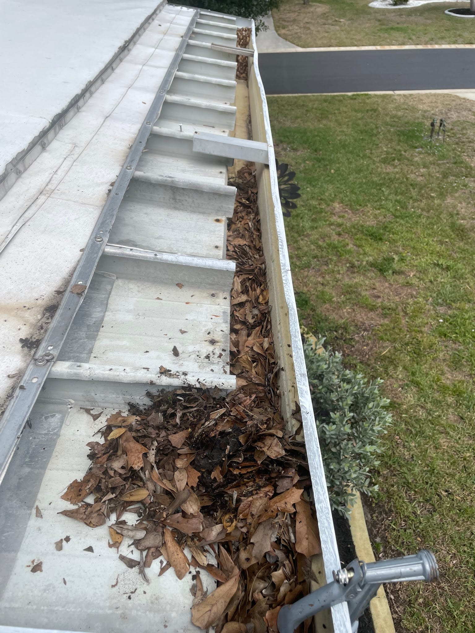 Ladder resting beside gutter packed with dry leaves and debris