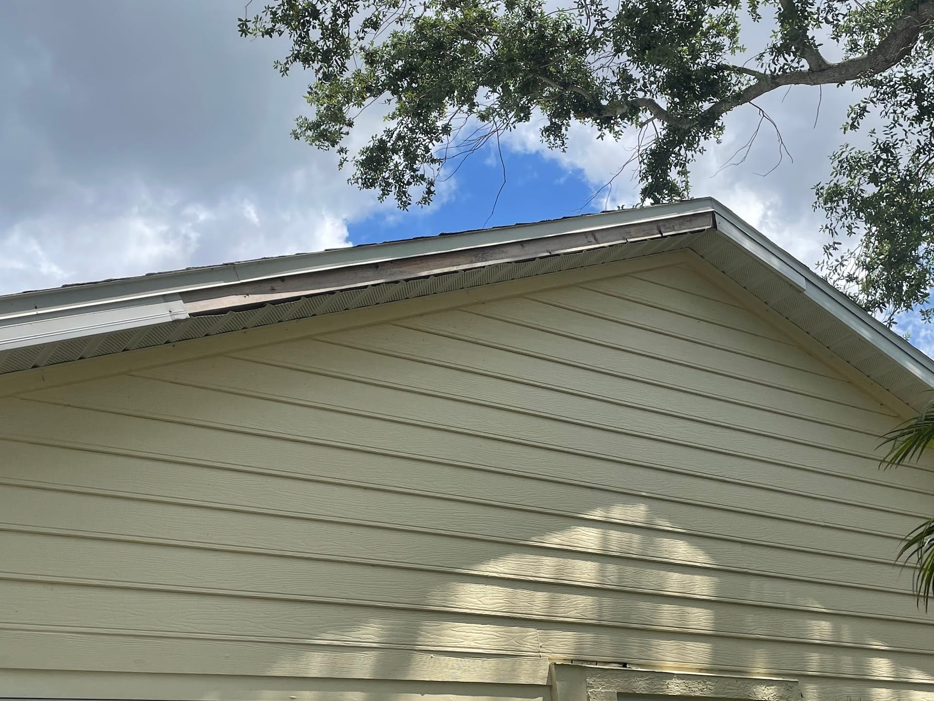 Exposed deteriorating gutter and roofline on cream vinyl siding home